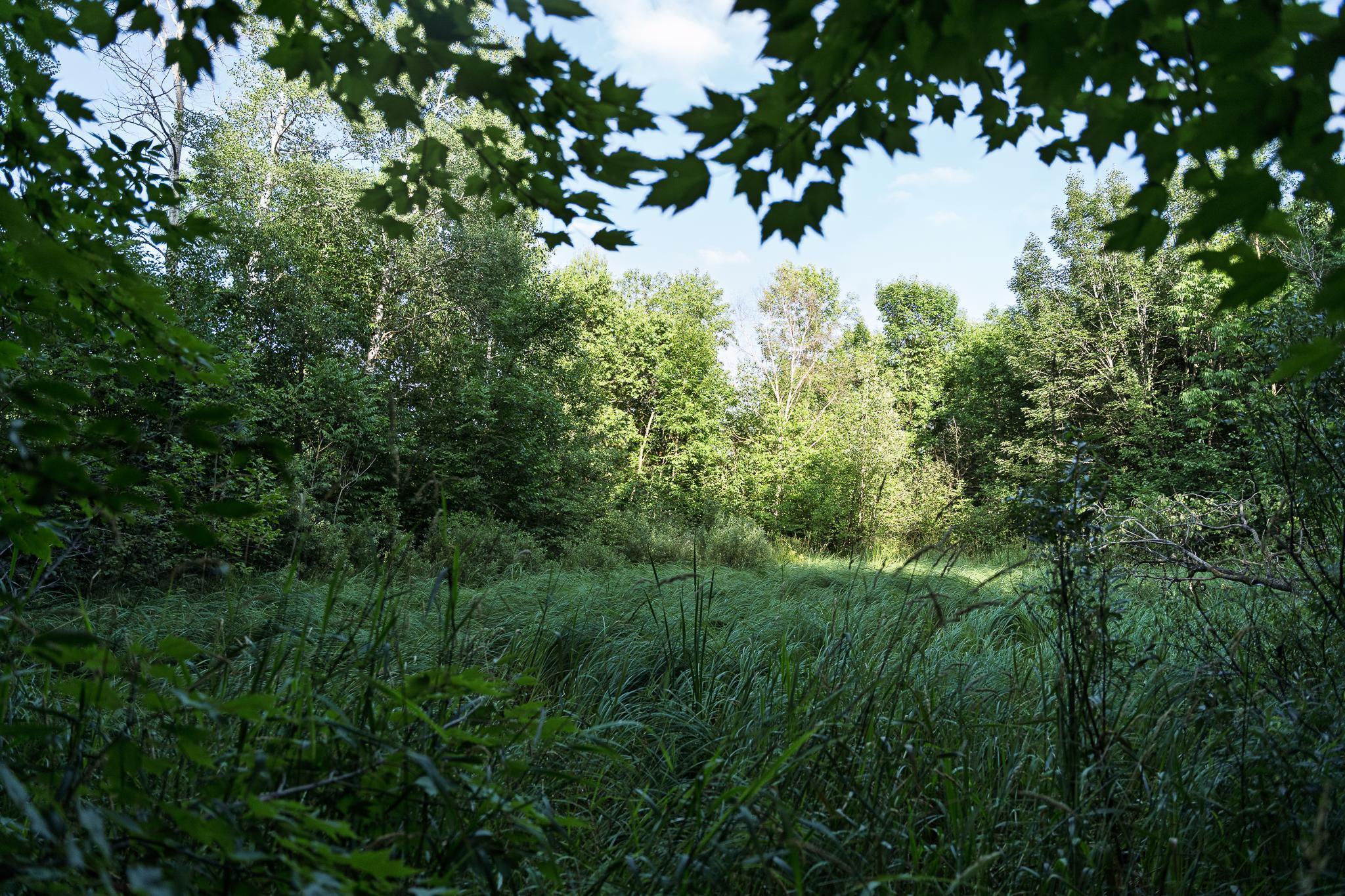 18467 Vineland Road Onamia, MN 56359 - Photo 43 of 52