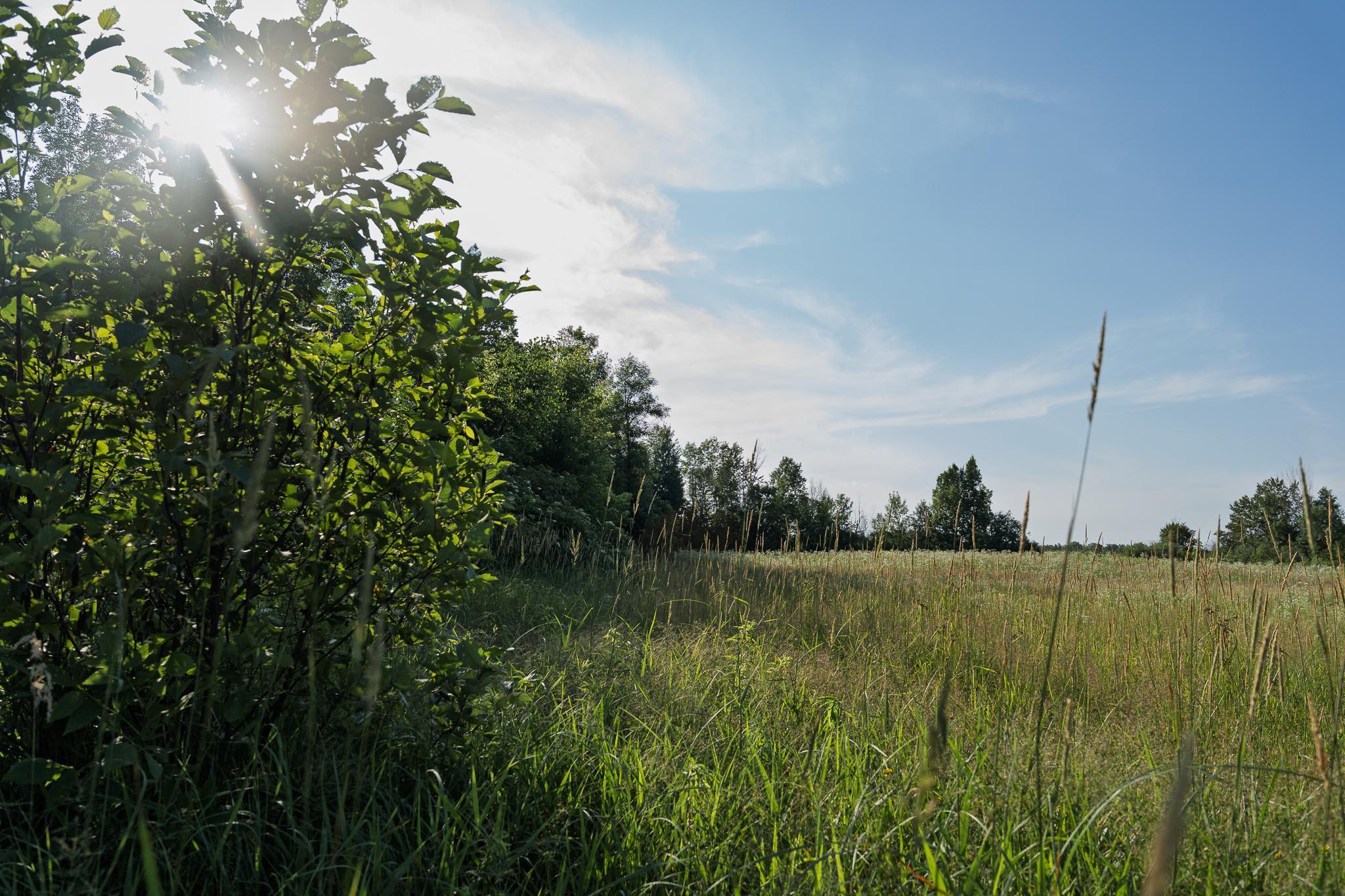 18467 Vineland Road Onamia, MN 56359 - Photo 46 of 52