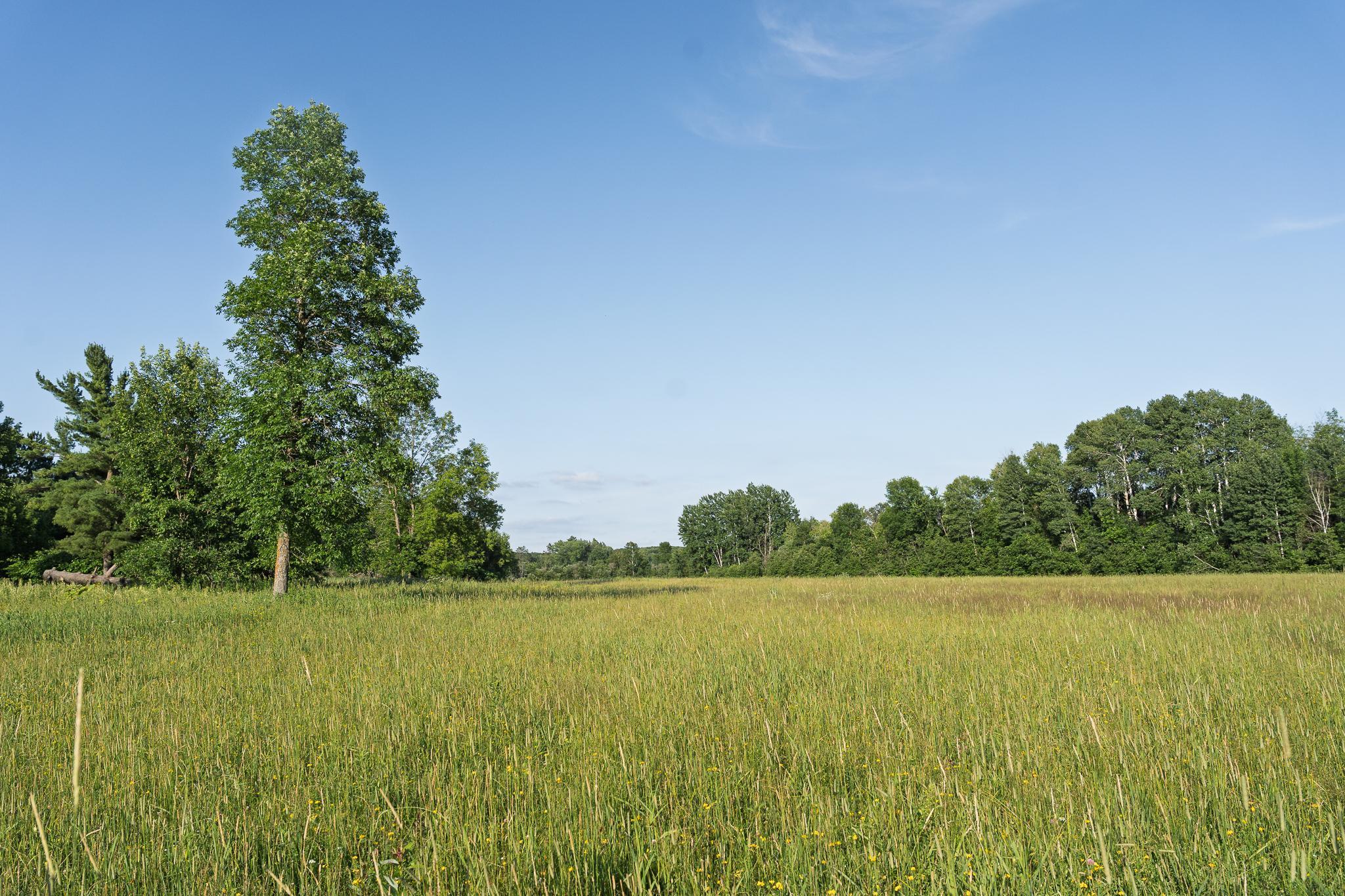 18467 Vineland Road Onamia, MN 56359 - Photo 49 of 52