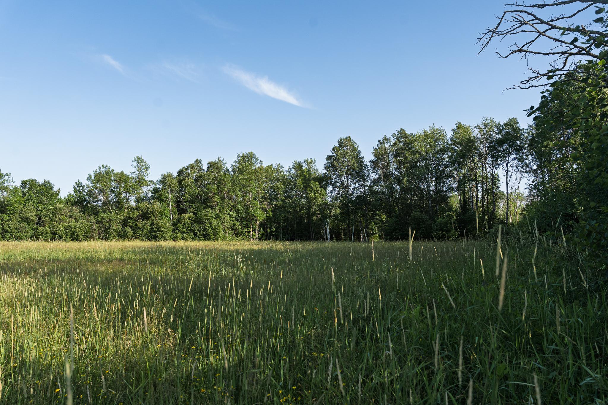 18467 Vineland Road Onamia, MN 56359 - Photo 51 of 52