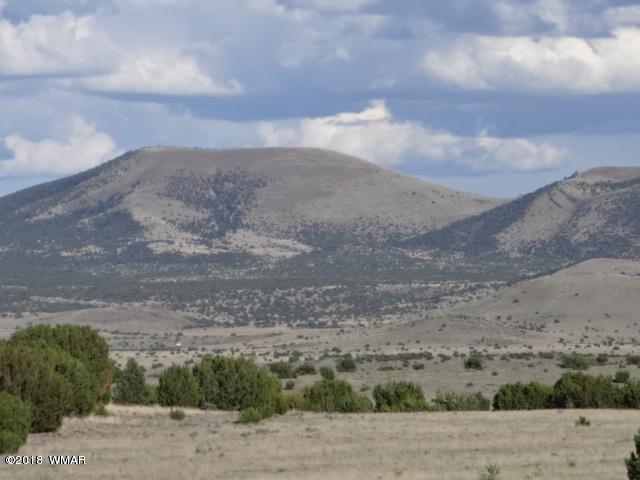 Lot 95 Country Road Vernon, AZ 85940 - Photo 2 of 5