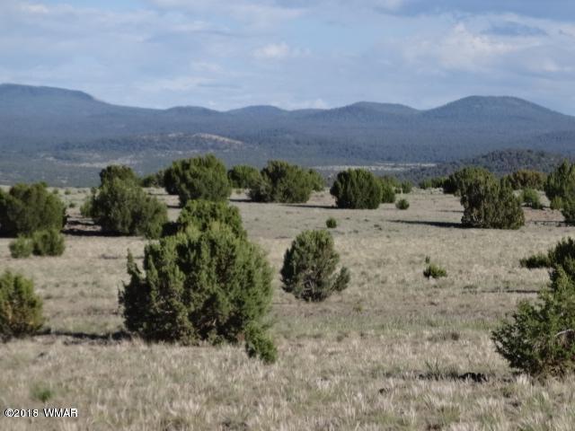 Lot 95 Country Road Vernon, AZ 85940 - Photo 4 of 5