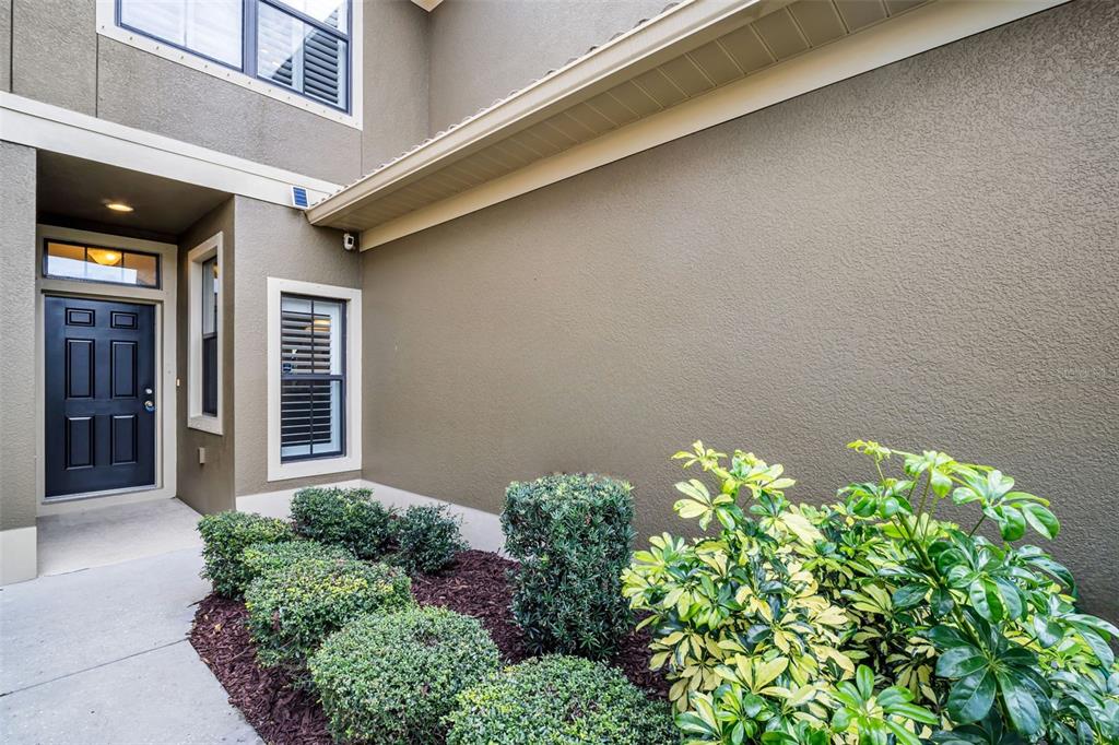 4739 Silverking Way Palm Harbor, FL 34684 - Photo 4 of 52
