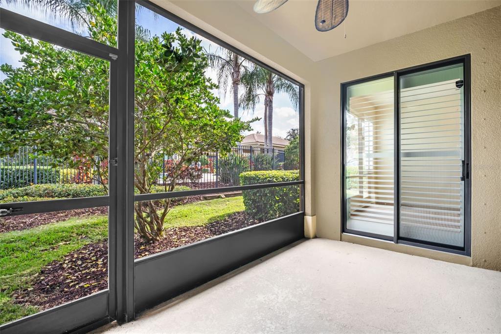 4739 Silverking Way Palm Harbor, FL 34684 - Photo 44 of 52