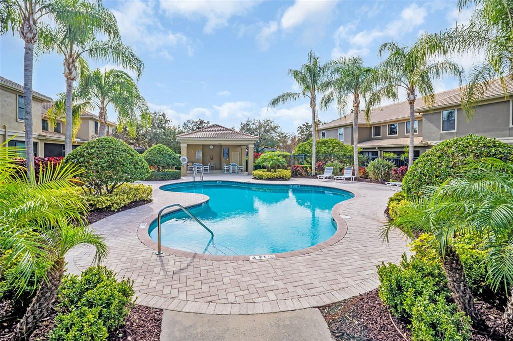 4739 Silverking Way Palm Harbor, FL 34684 - Photo 47 of 52