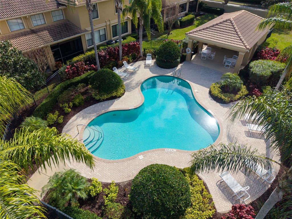 4739 Silverking Way Palm Harbor, FL 34684 - Photo 48 of 52