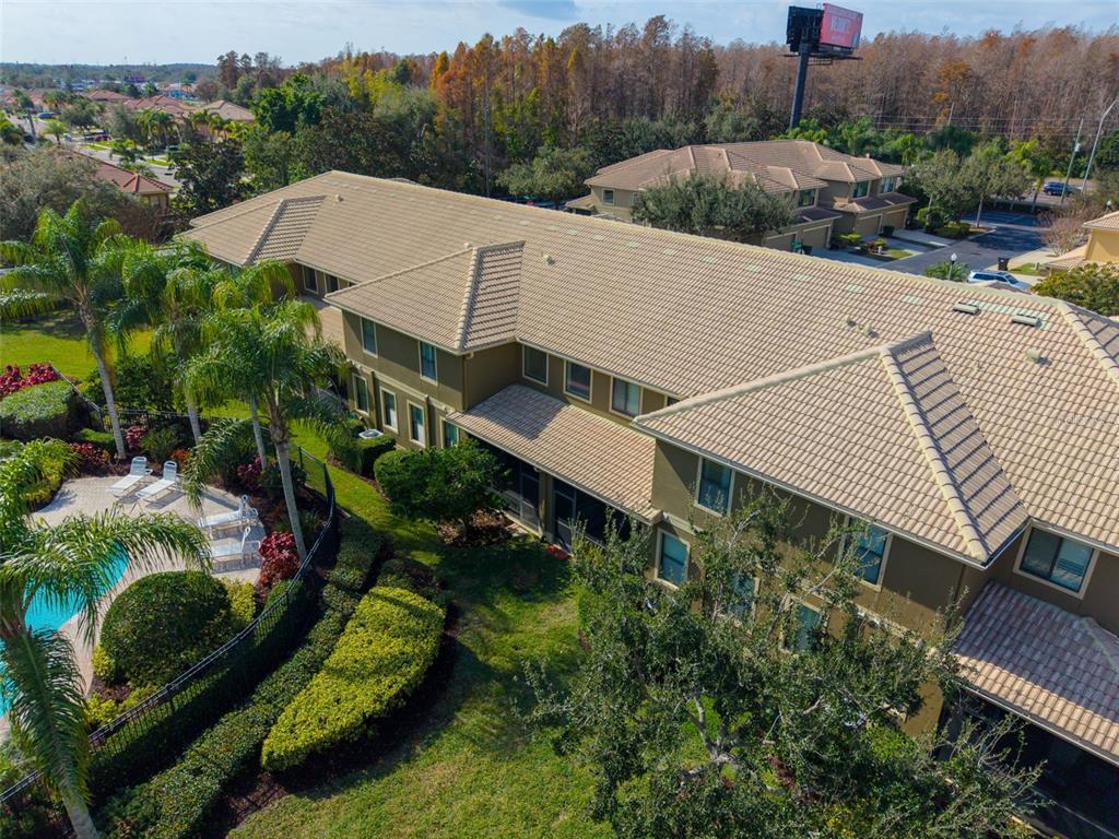 4739 Silverking Way Palm Harbor, FL 34684 - Photo 49 of 52