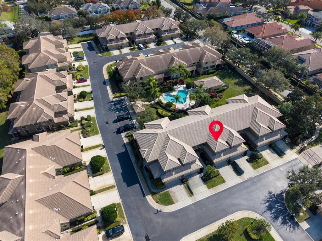 4739 Silverking Way Palm Harbor, FL 34684 - Photo 50 of 52