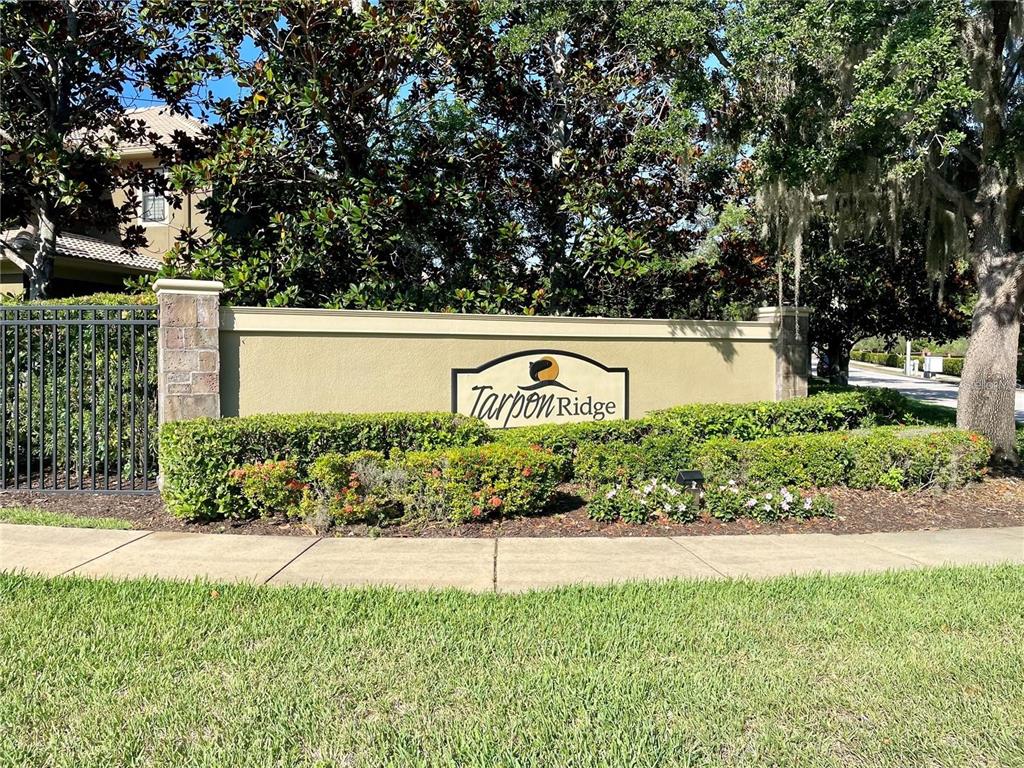 4739 Silverking Way Palm Harbor, FL 34684 - Photo 52 of 52