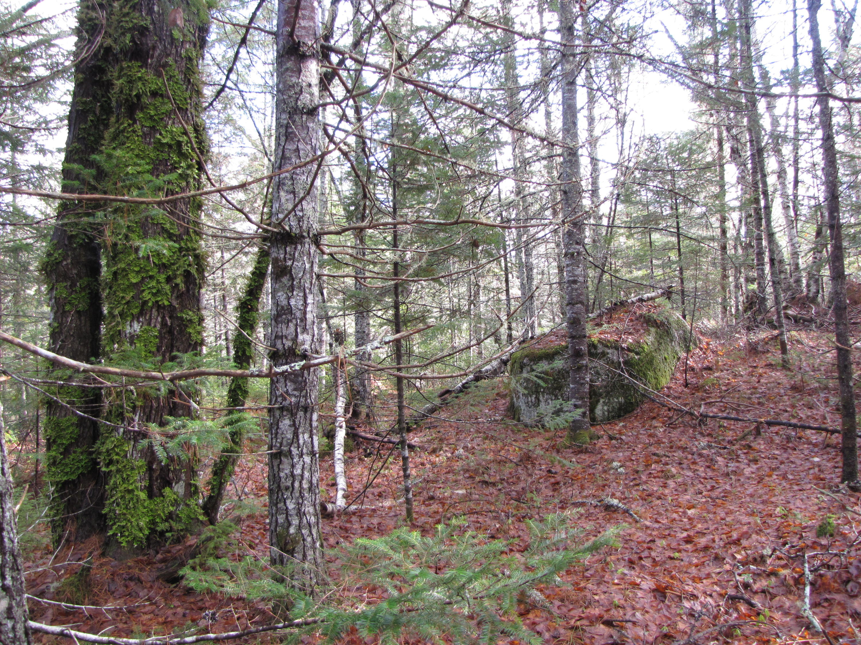 X X Off Ccc Road Machias, ME 04654 - Photo 7 of 57 IMG_1607