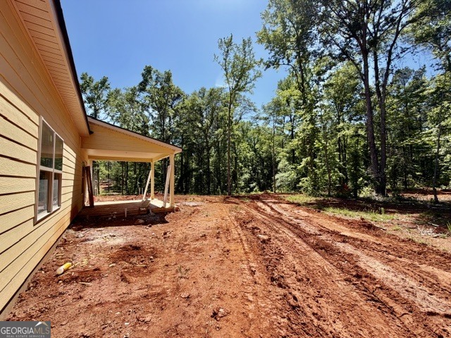 6387 Rocky Mt Road, Unit 10 Greenville, GA 30222 - Photo 13 of 13