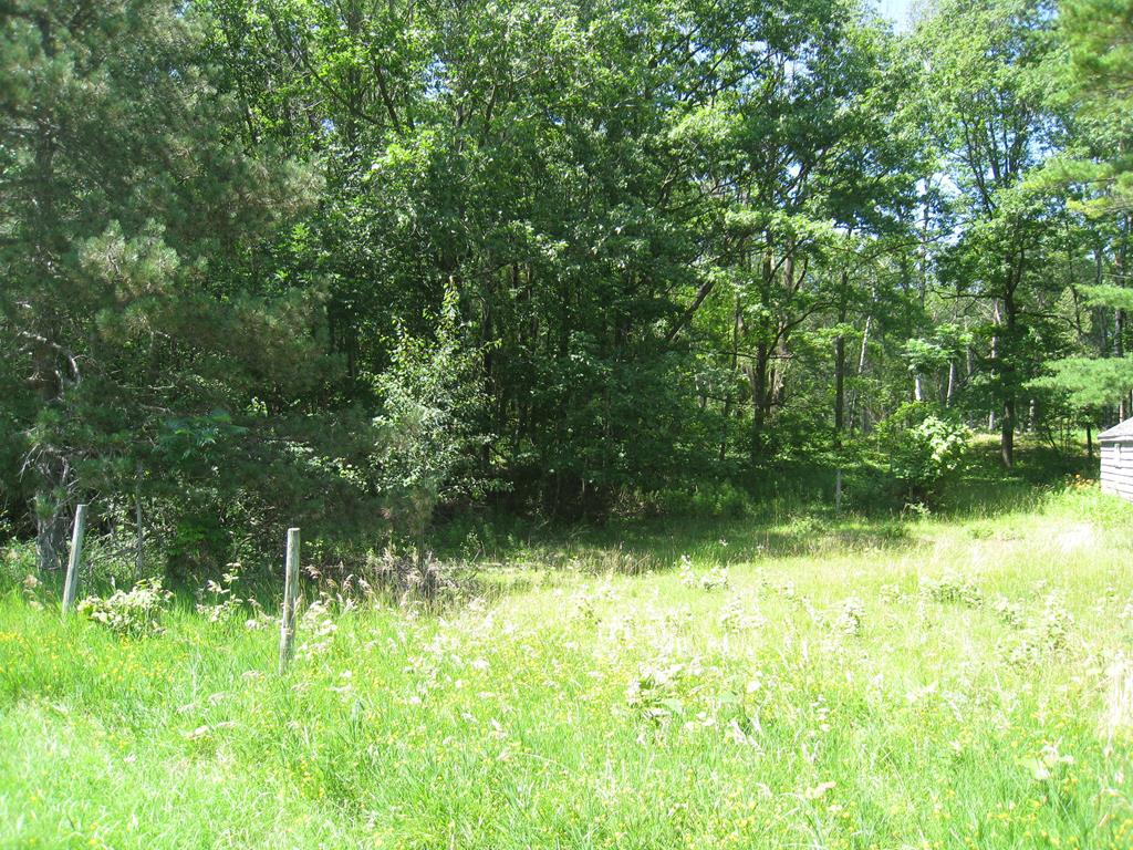 9050 Lime Kiln Road Sturgeon Bay, WI 54235 - Photo 1 of 4 Main View