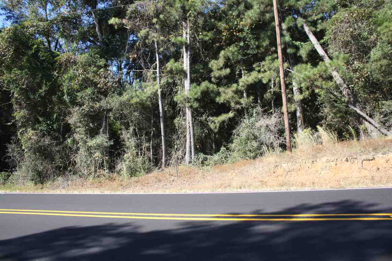 300 Rocky Valley Road Collins, MS 39428 - Photo 3 of 7 Photo 3