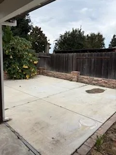 a view of a backyard