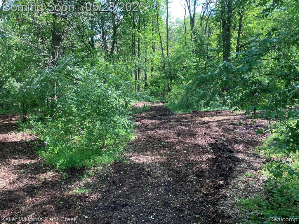 42891 Bemis Road Belleville, MI 48111 - Photo 37 of 51