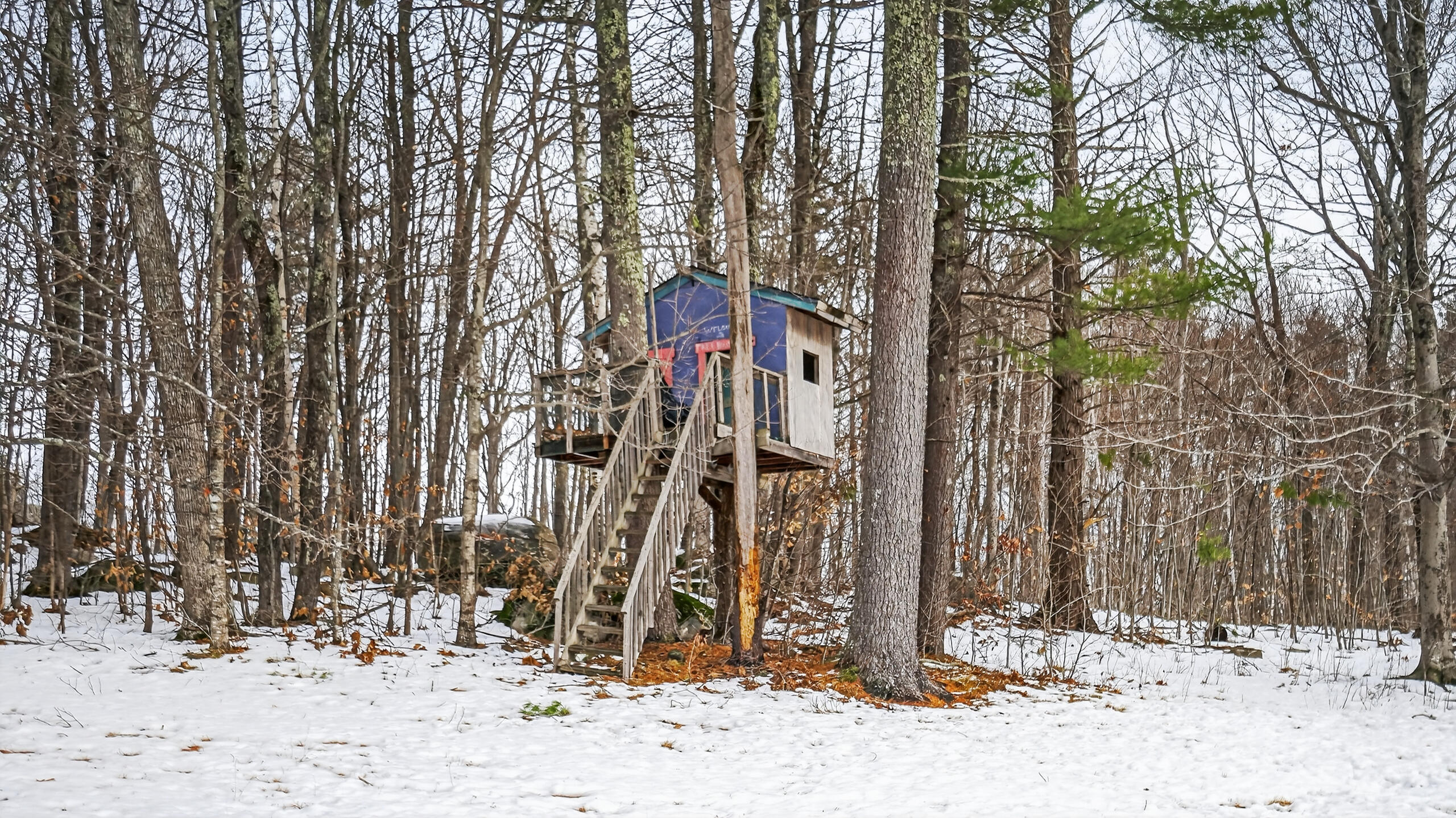 163 Valley Road Raymond, ME 04071 - Photo 75 of 88 163 Valley Road Raymond ME (13)