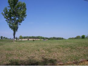 590 Fish Hook Road, Unit 29 Mosheim, TN 37818 - Photo 1 of 4 Photo 1