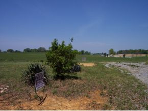 590 Fish Hook Road, Unit 29 Mosheim, TN 37818 - Photo 2 of 4 Photo 2