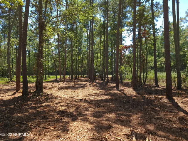 $95,000 | 6 Ashton Drive, Bath, NC 27808