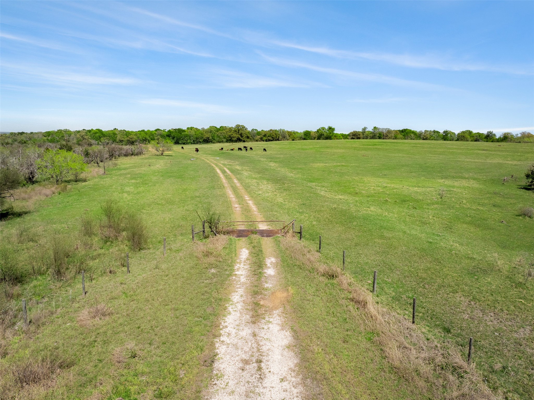 0 Dannheim Road Brenham, TX 77833 - Photo 12 of 21