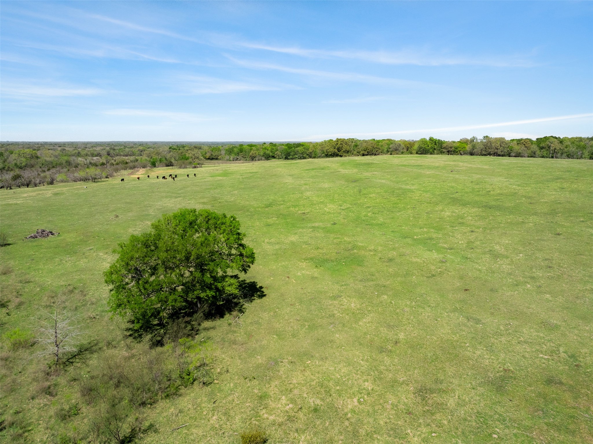 0 Dannheim Road Brenham, TX 77833 - Photo 13 of 21