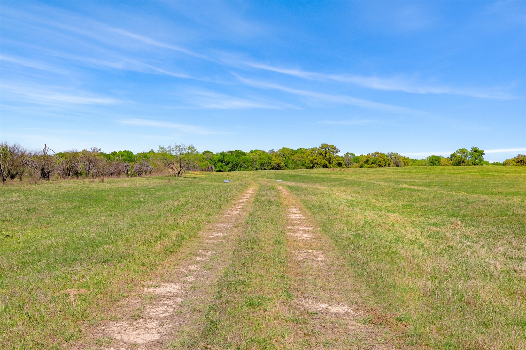0 Dannheim Road Brenham, TX 77833 - Photo 14 of 21