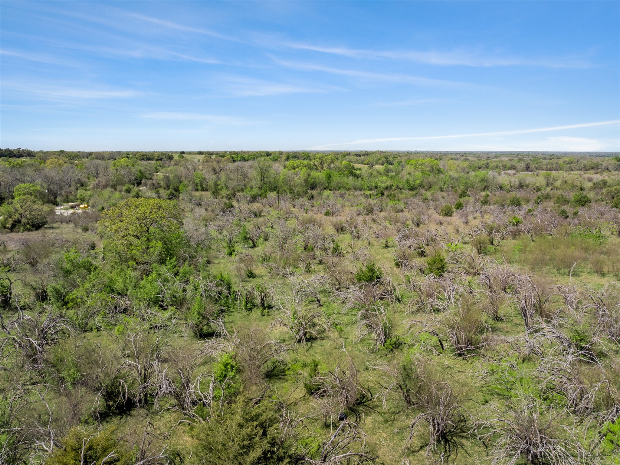 0 Dannheim Road Brenham, TX 77833 - Photo 17 of 21