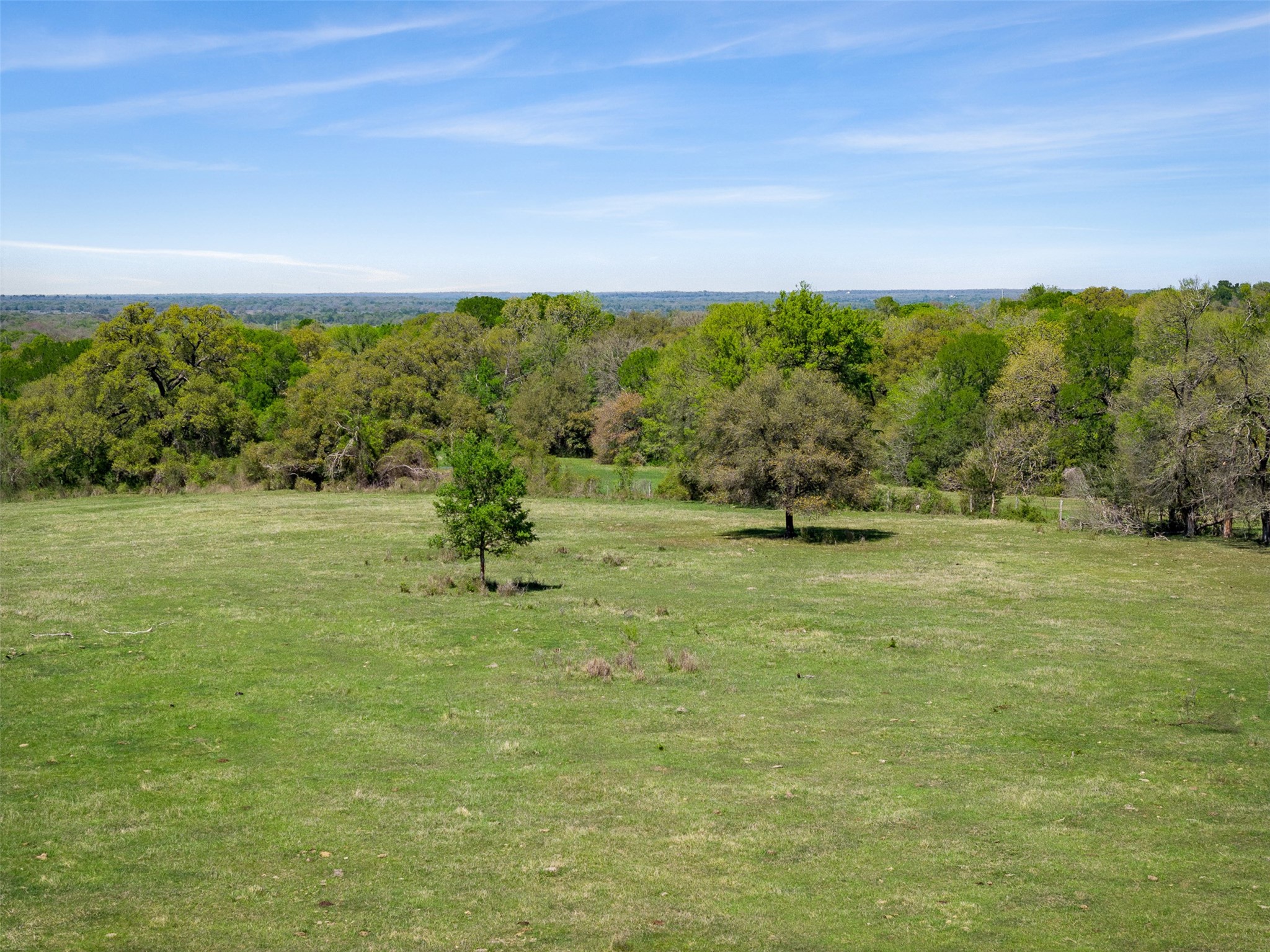 0 Dannheim Road Brenham, TX 77833 - Photo 19 of 21