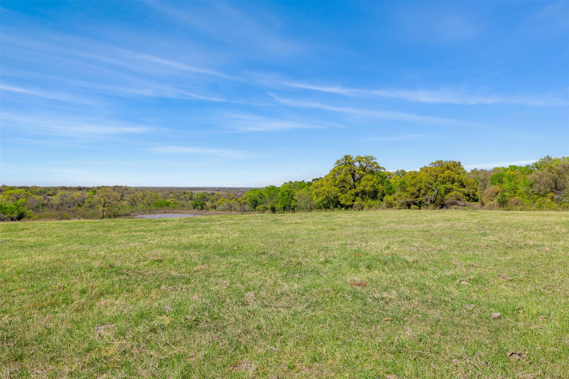 0 Dannheim Road Brenham, TX 77833 - Photo 2 of 21