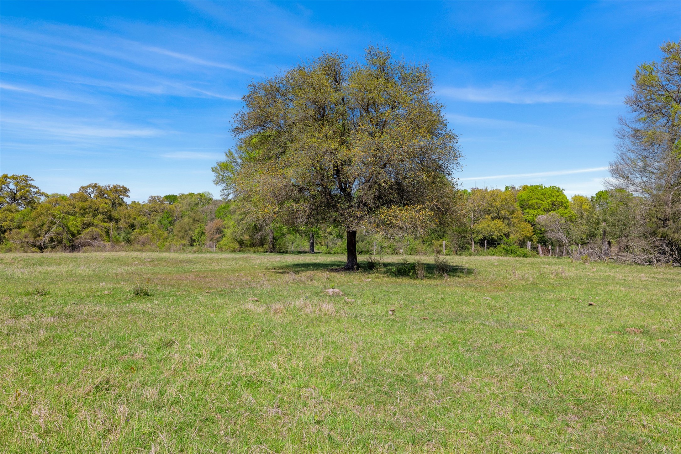 0 Dannheim Road Brenham, TX 77833 - Photo 3 of 21