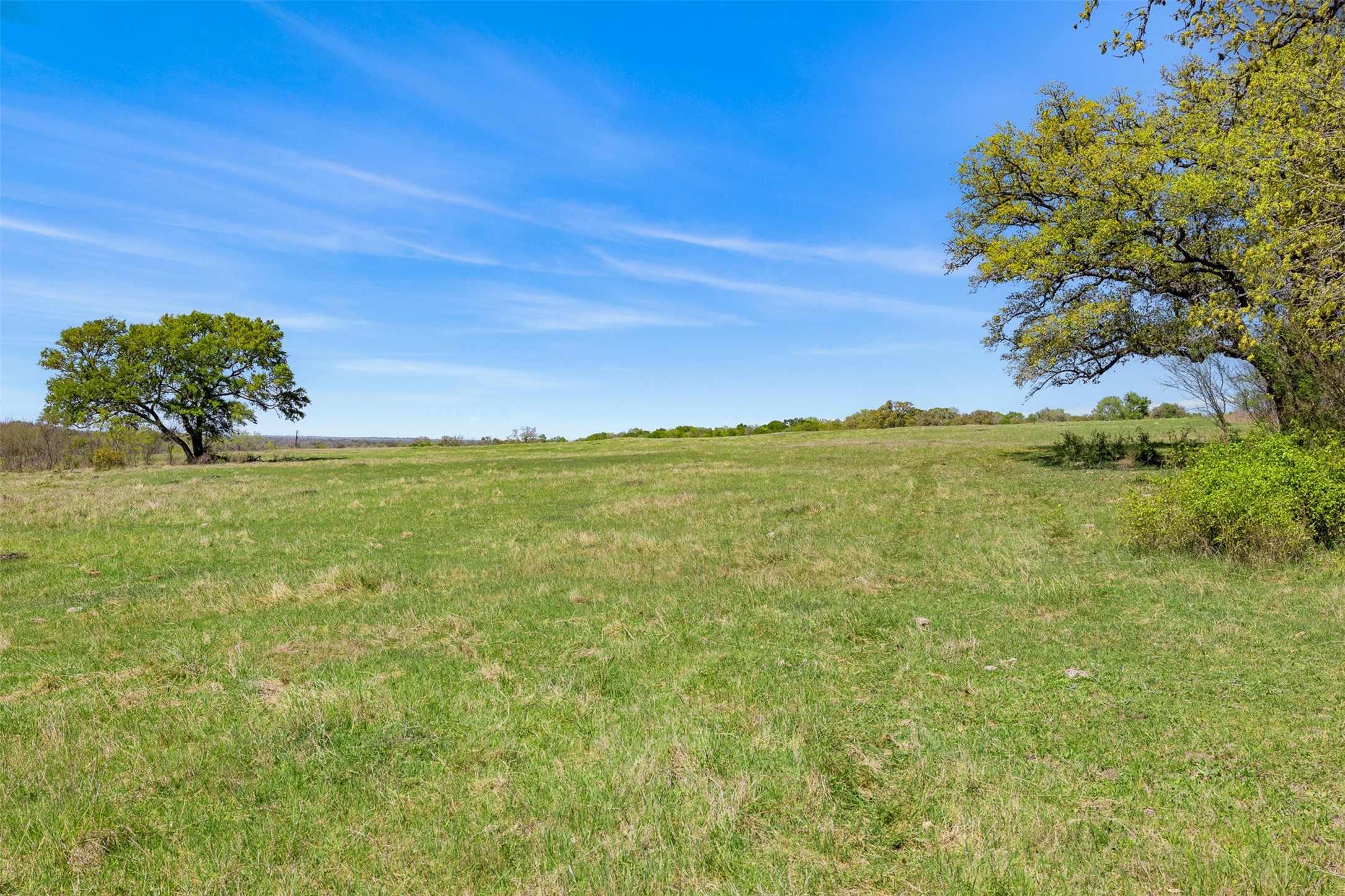 0 Dannheim Road Brenham, TX 77833 - Photo 4 of 21