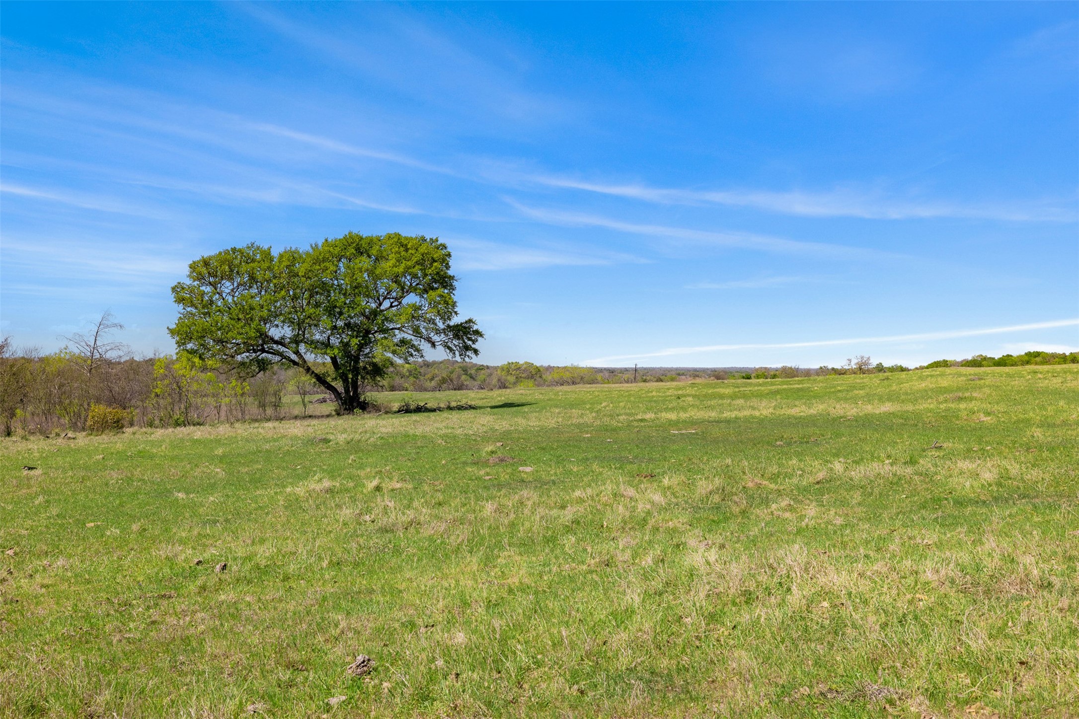 0 Dannheim Road Brenham, TX 77833 - Photo 5 of 21