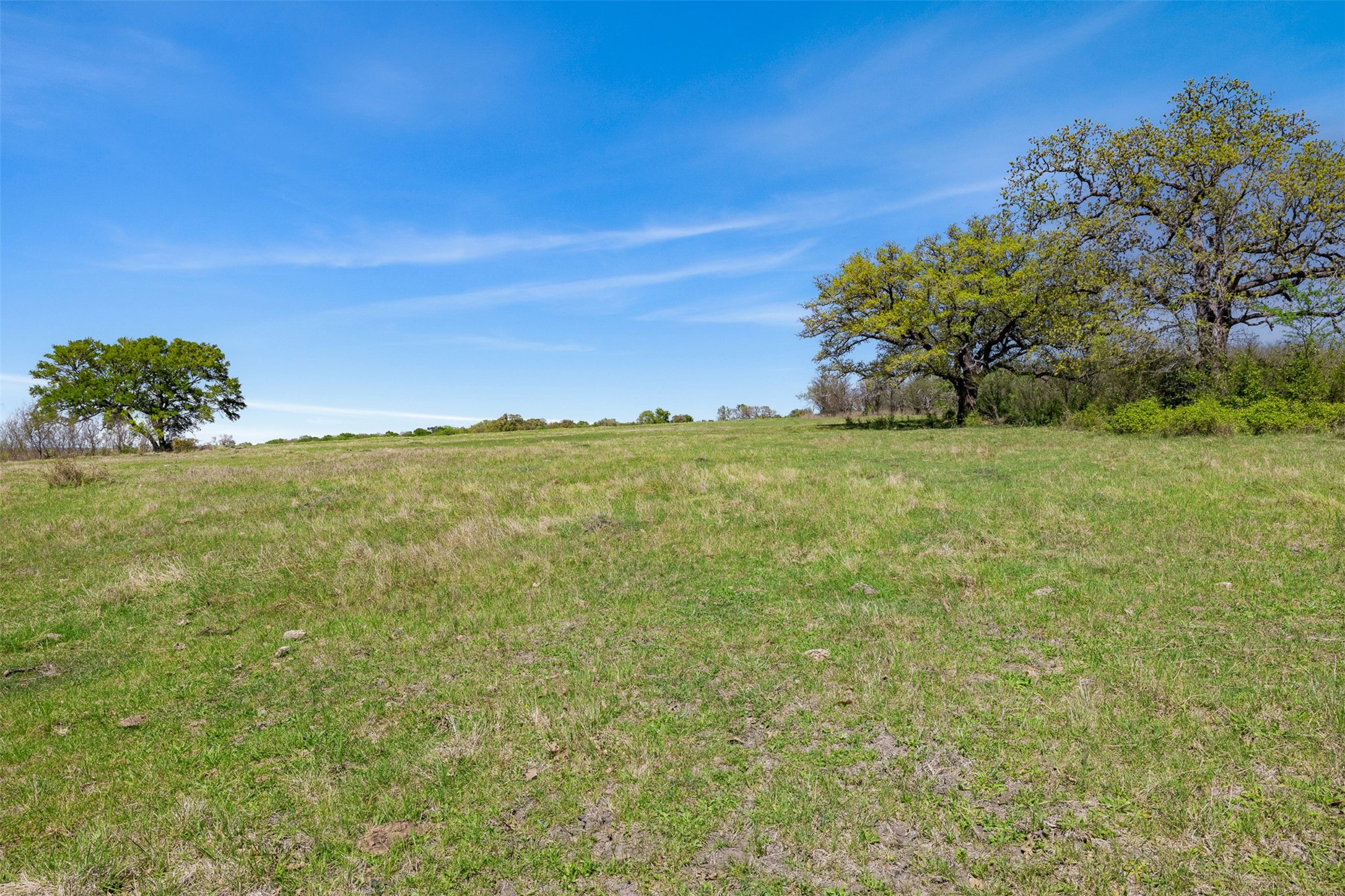 0 Dannheim Road Brenham, TX 77833 - Photo 6 of 21