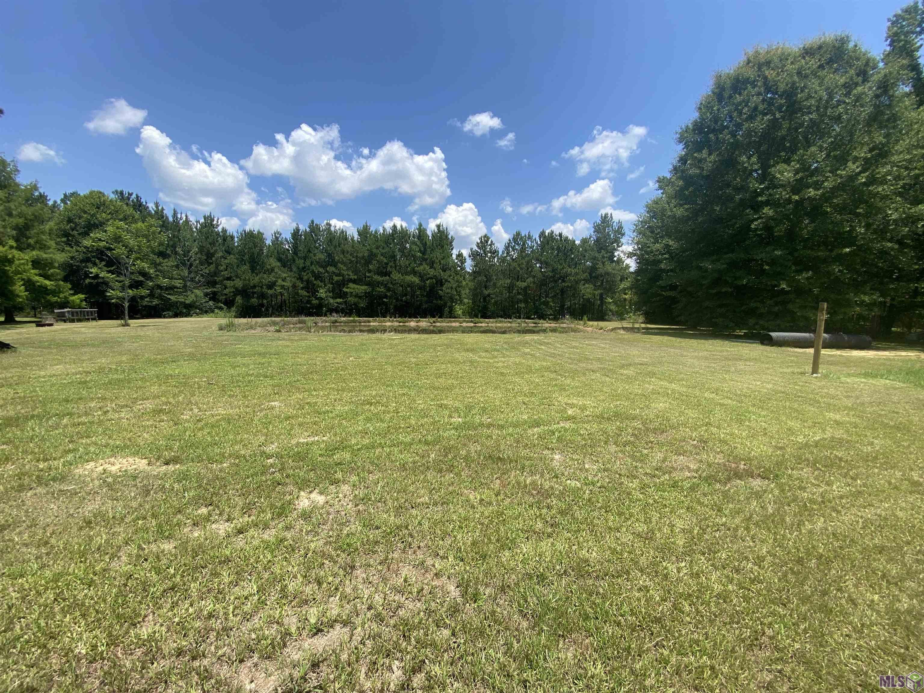 38876 Reinninger Road Denham Springs, LA 70706 - Photo 3 of 31