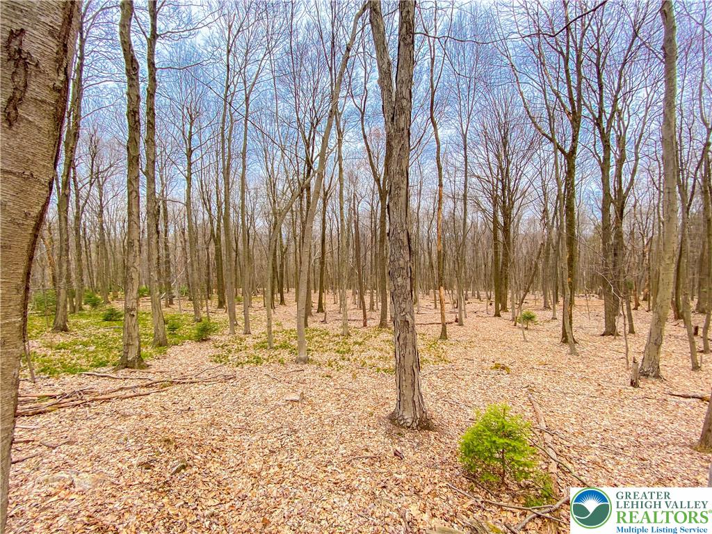 Hoffman Road Lehighton, PA 18235 - Photo 1 of 1 Gallery Image 1