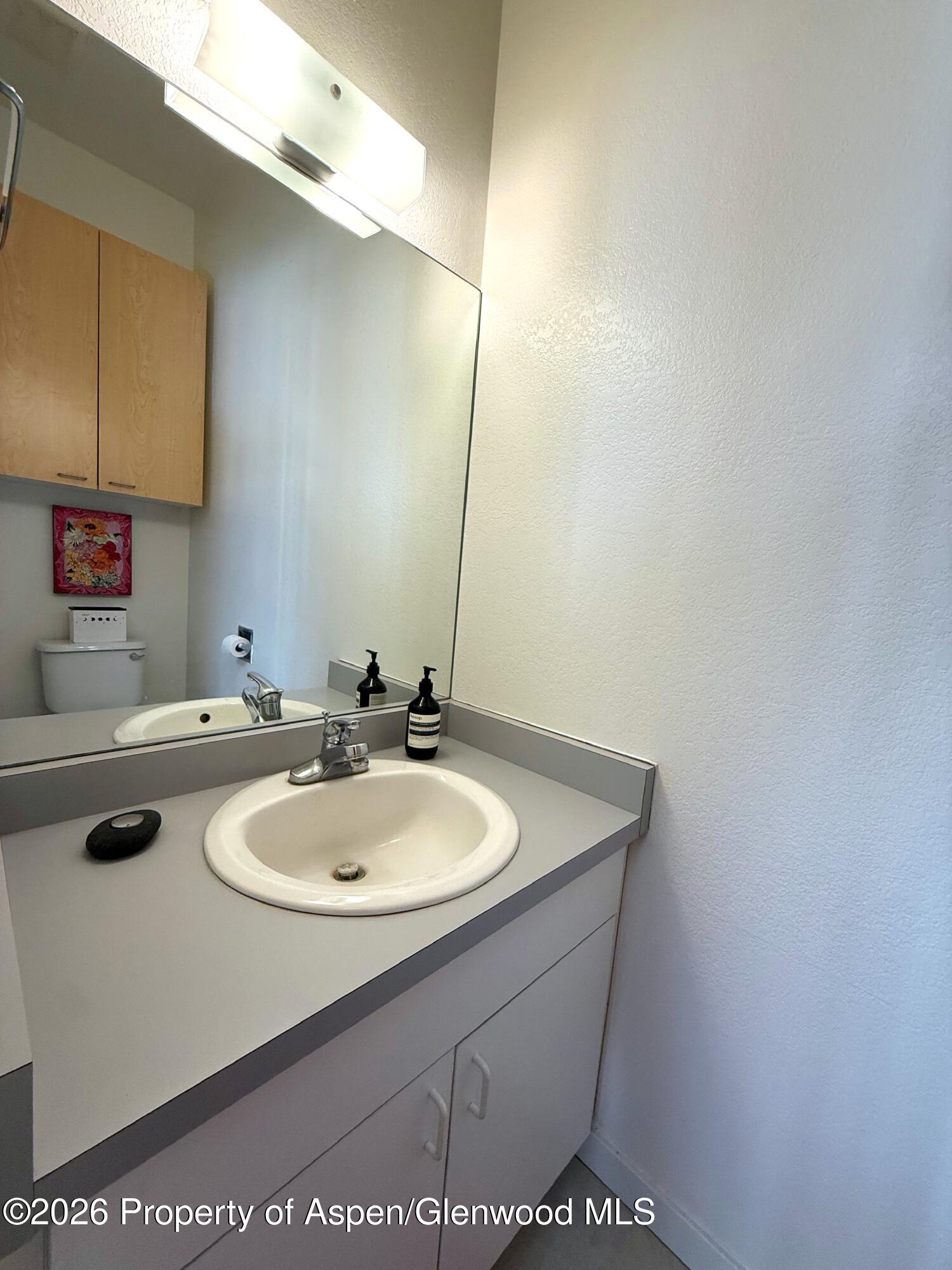 23400 2 Rivers Road, Unit 46 Basalt, CO 81621 - Photo 6 of 9 Private on-site restroom