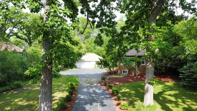 a view of a garden with plants