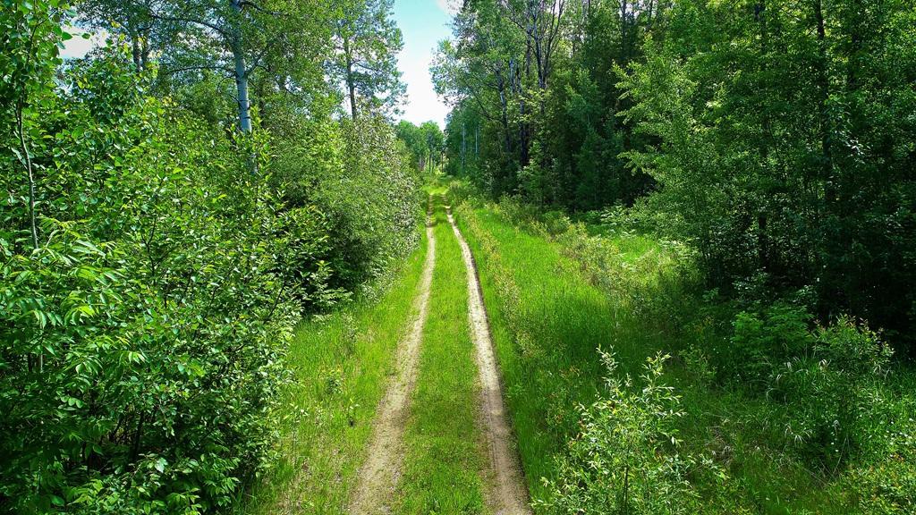 1 East Pine Drive Angle Inlet, MN 56711 - Photo 6 of 21