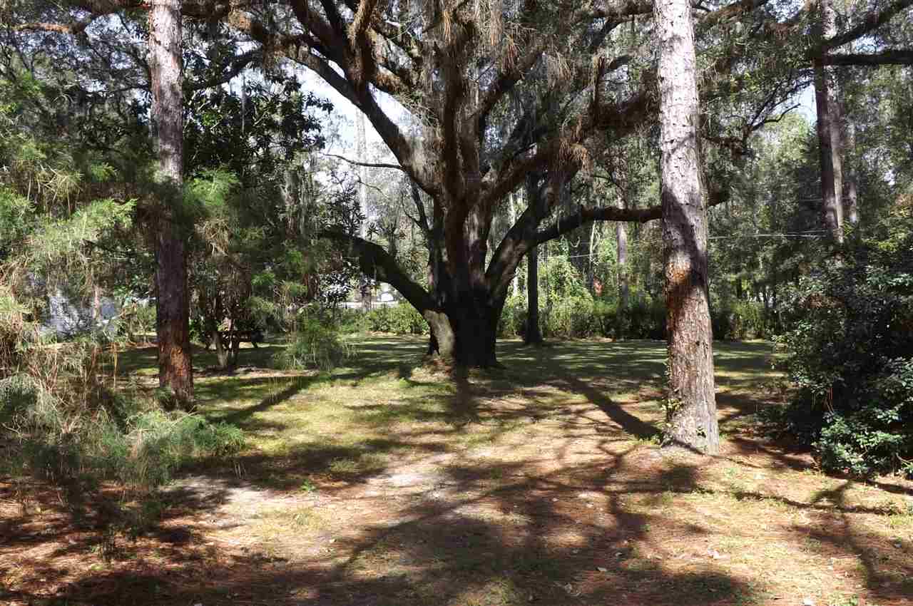 116 Pine Tree Road Perry, FL 32348 - Photo 1 of 6