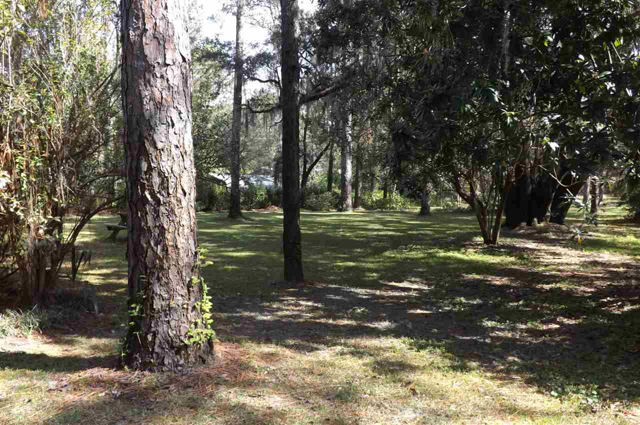 116 Pine Tree Road Perry, FL 32348 - Photo 2 of 6