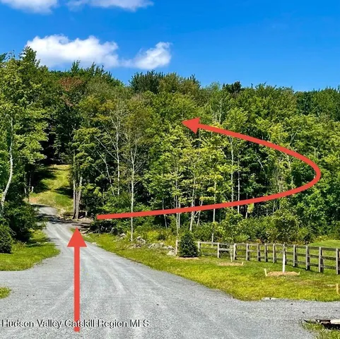 a view of a park with large trees