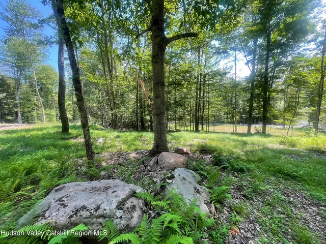 a view of a park with large trees