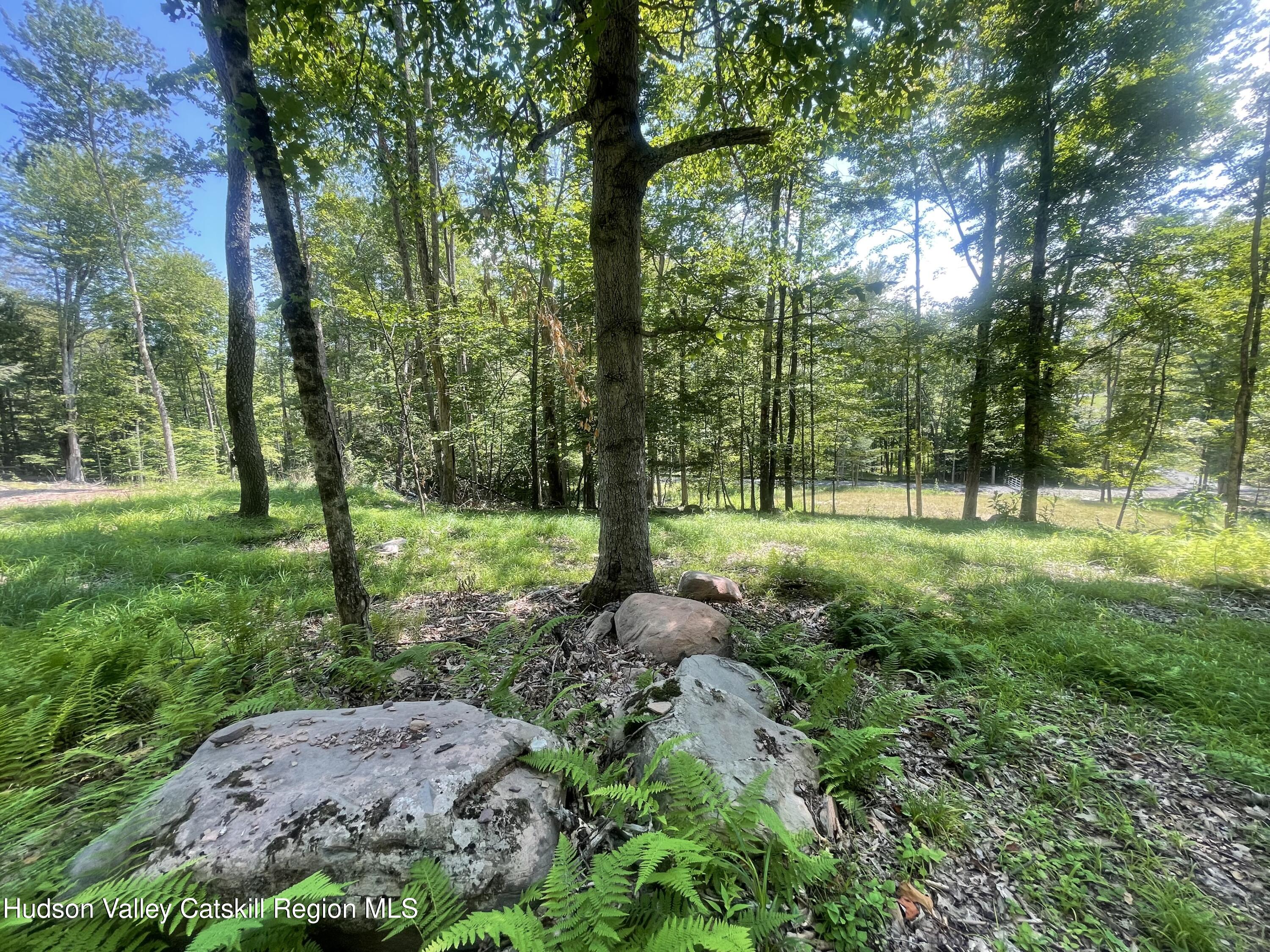2 Windham Farms Road Windham, NY 12496 - Photo 9 of 14 a view of a park with large trees