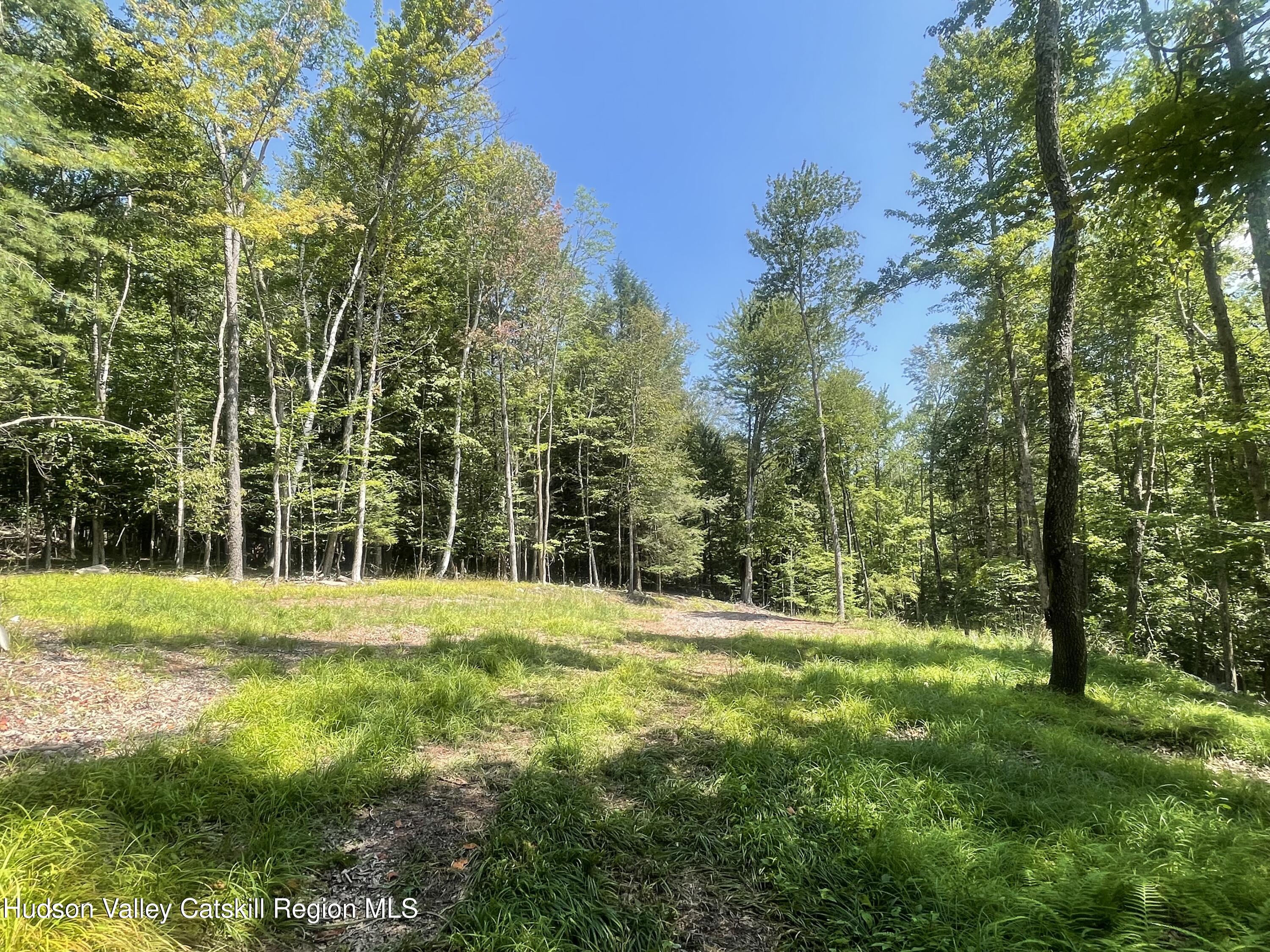 2 Windham Farms Road Windham, NY 12496 - Photo 10 of 14 a view of outdoor space with trees all around