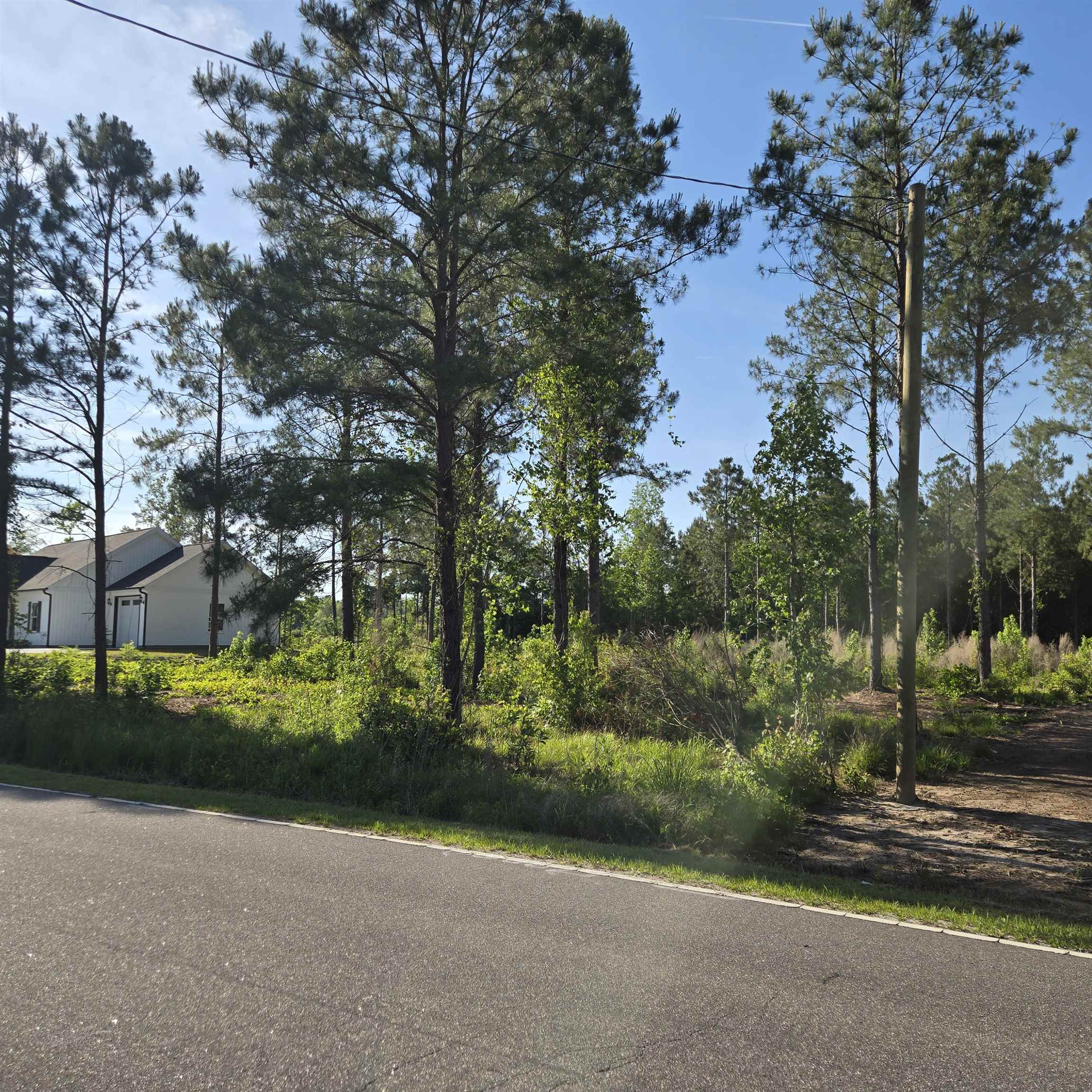 1513 Oak Dale Road Loris, SC 29569 - Photo 5 of 6 Gallery Image 5