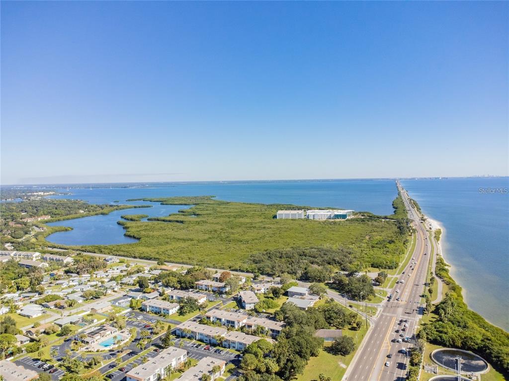 379 South McMullen Booth Road, Unit 75 Clearwater, FL 33759 - Photo 44 of 67
