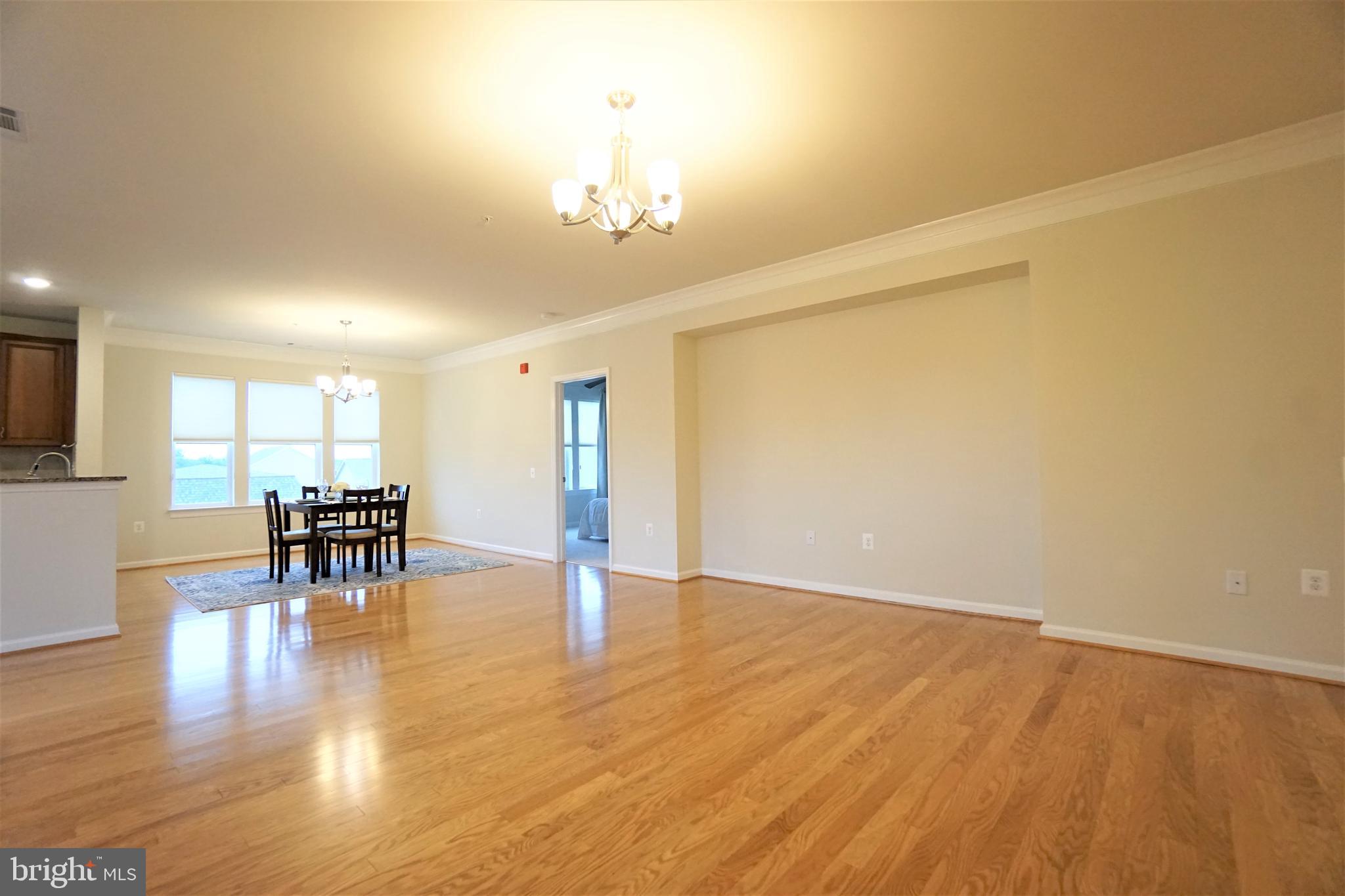 20600 Hope Spring Terrace, Unit 301 Ashburn, VA 20147 - Photo 11 of 33 Living Room.