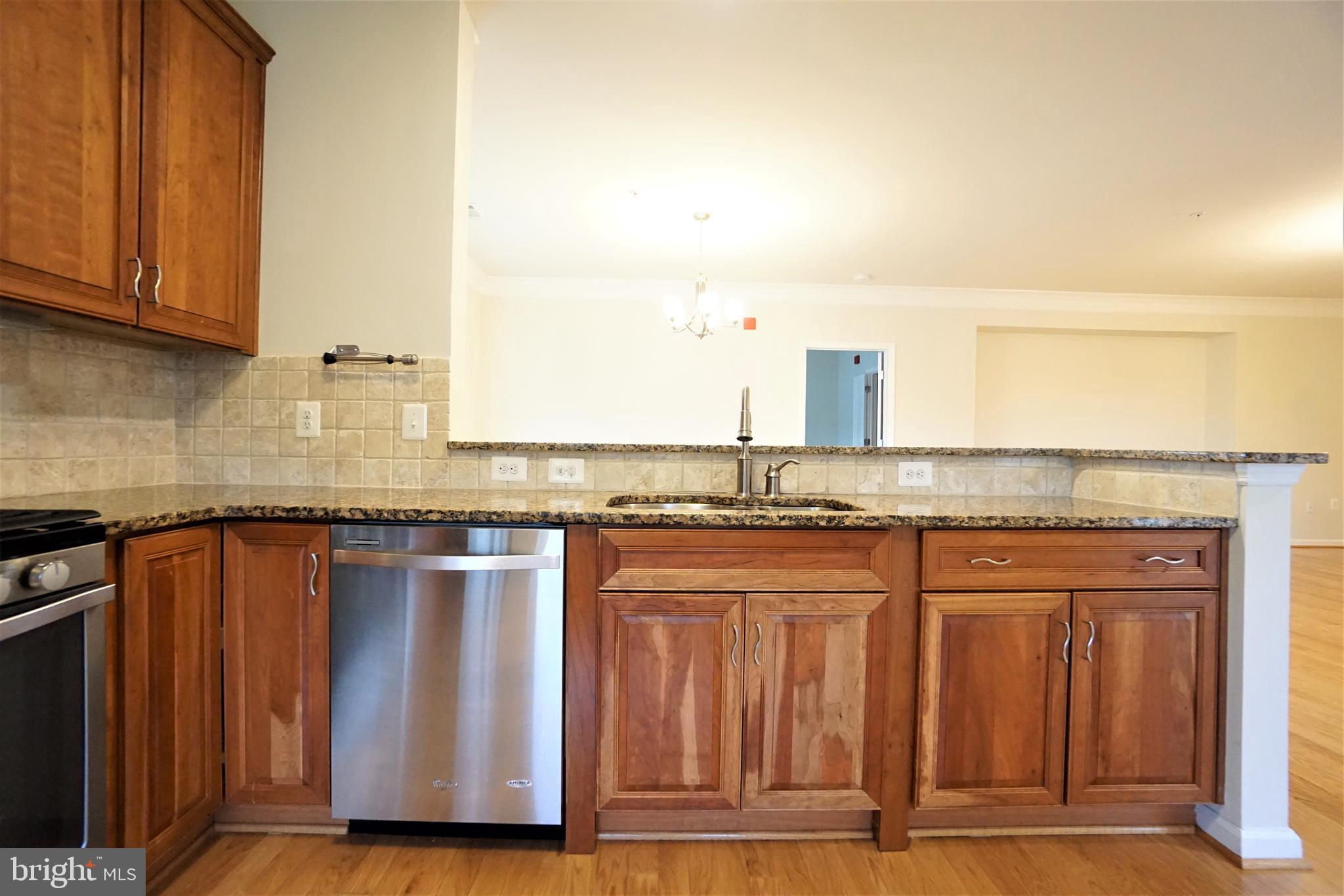 20600 Hope Spring Terrace, Unit 301 Ashburn, VA 20147 - Photo 17 of 33 Kitchen.