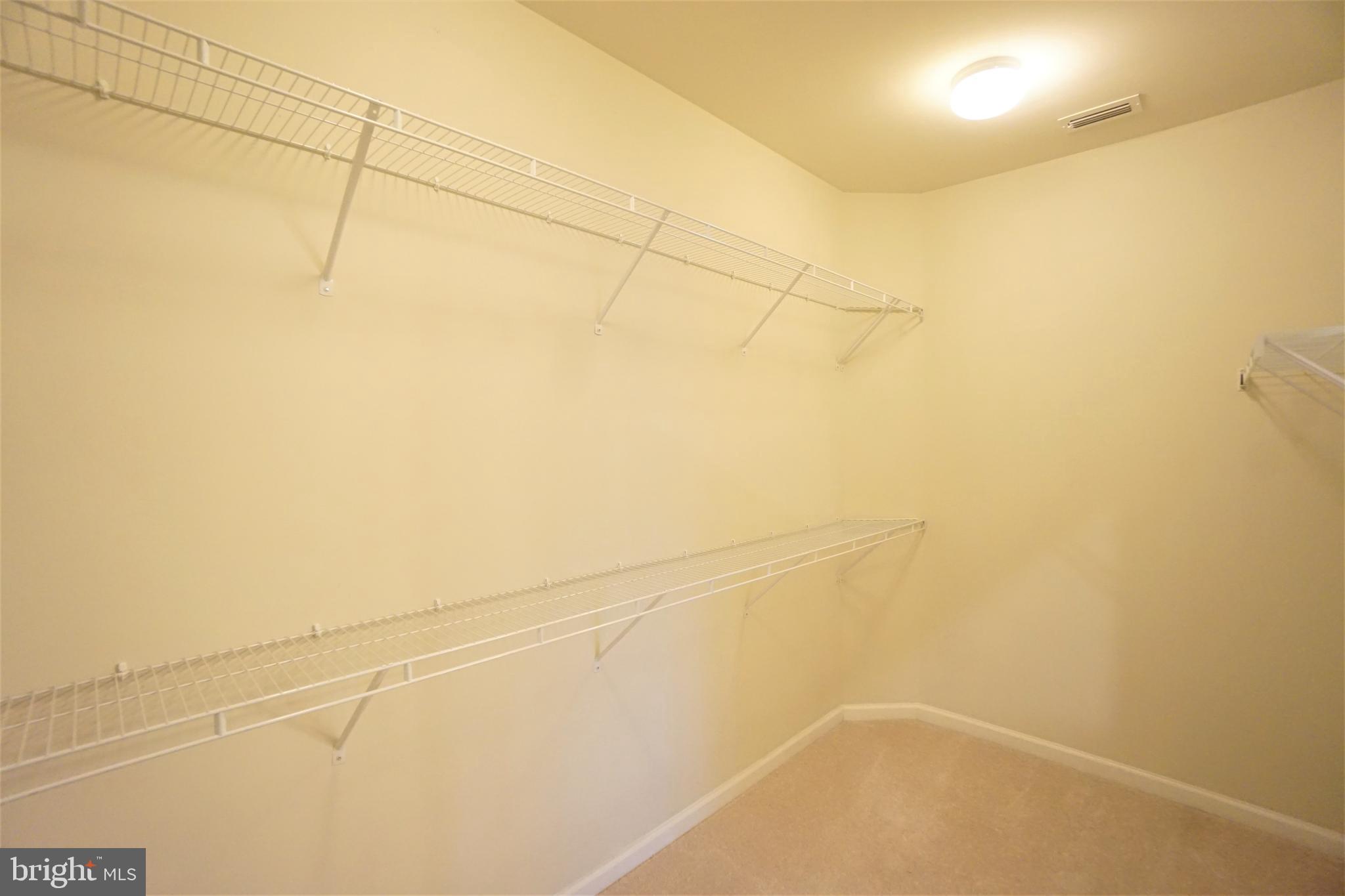 20600 Hope Spring Terrace, Unit 301 Ashburn, VA 20147 - Photo 24 of 33 Master Closet.