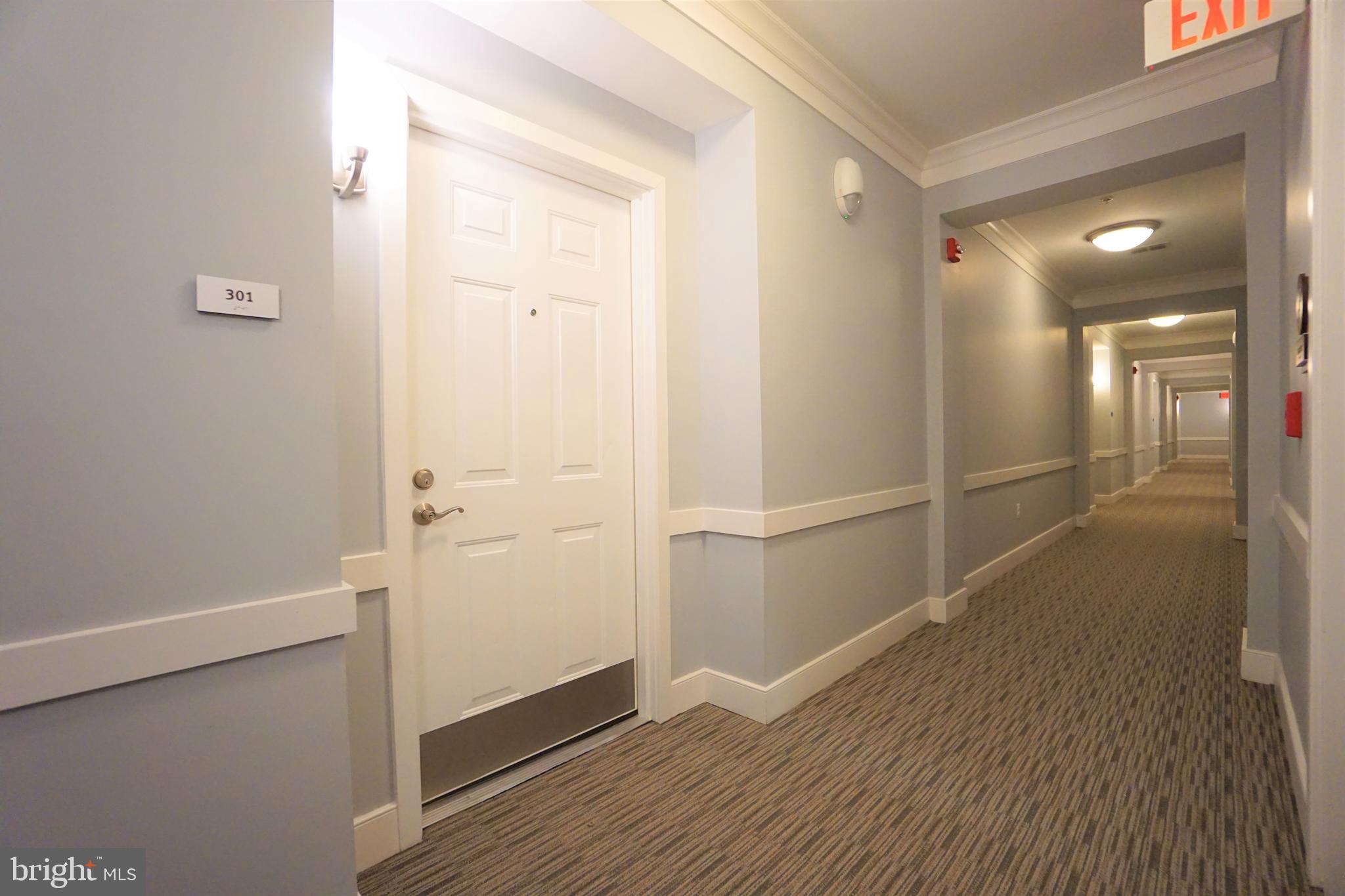 20600 Hope Spring Terrace, Unit 301 Ashburn, VA 20147 - Photo 7 of 33 Front Door.